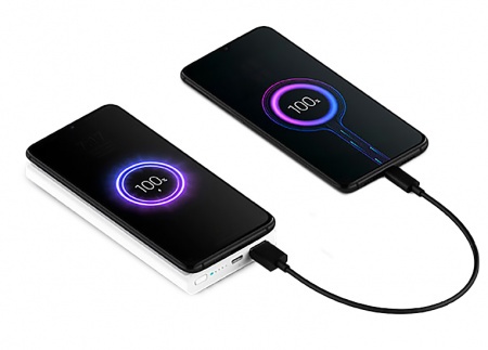 Купить Xiaomi Mi Wireless Power Bank Youth Edition 10000mAh (WPB15PDZM) Silver