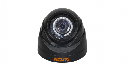 Купить Муляж CARCAM CAM-822