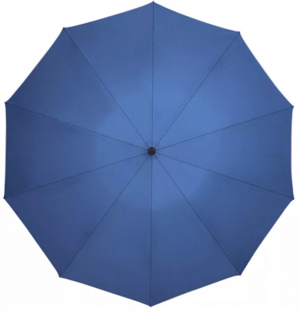 Купить Xiaomi Zuodu Automatic Umbrella Led Blue