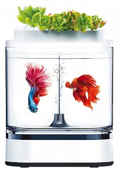 Купить Xiaomi Geometry Mini Lazy Fish Tank Pro C300