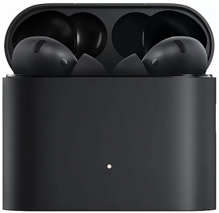 Купить Xiaomi Mi 2 Pro (TWSEJ11WM)