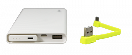 Купить CARCAM Power Bank X2