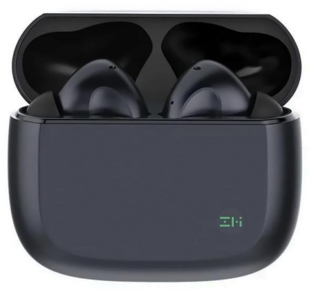 Купить Xiaomi ZMI PurPods Pro Gray