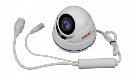 Купить CARCAM CAM-1889P