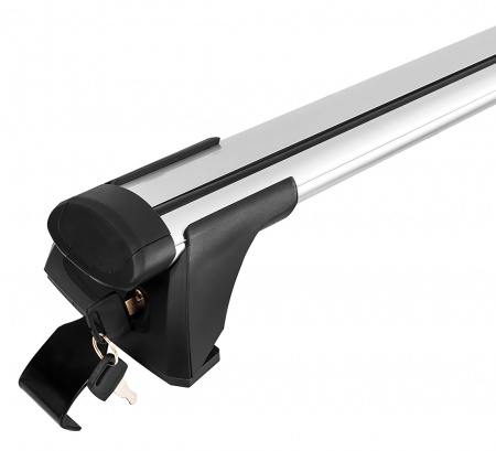 Купить CARCAM RAIL B8169A 1000мм