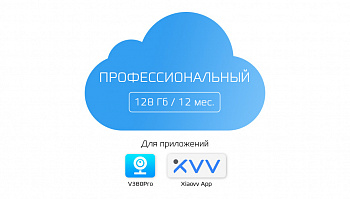 Купить Тариф ПРОФЕССИОНАЛЬНЫЙ - 128Gb 12 мес. V380Pro / Xiaovv App
