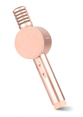 Купить Xiaomi Otaru HoHo Sound Mic X3 Gold