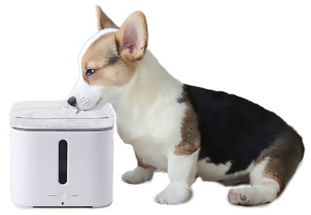 Купить Xiaomi Smart Water Dispenser 2S (P4101)